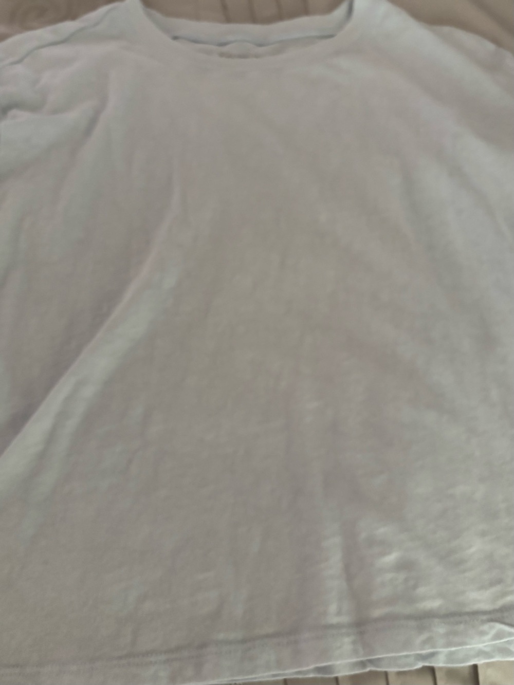 Z. Supply Light Solid Crewneck Tee - Pale Blue